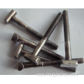 stainless steel customized T bolt